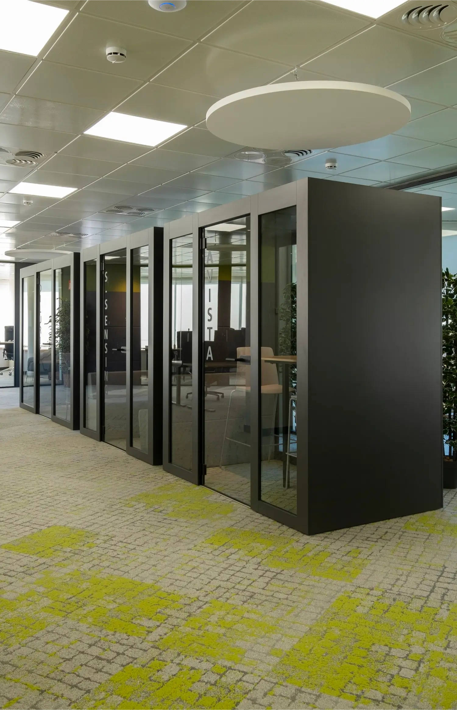La importancia de la acústica en oficinas abiertas: ¿Cómo hacer las cabinas más privadas?
